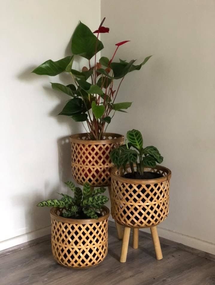 Planter Bamboo